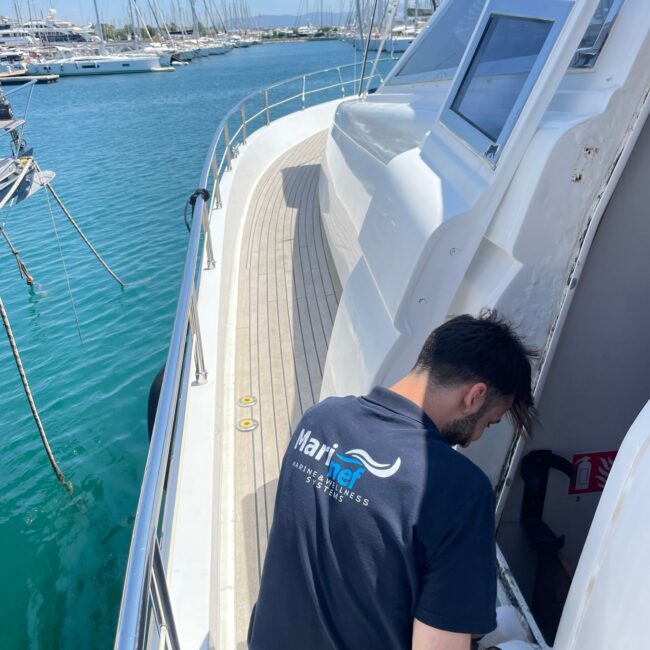 WhatsApp Image 2025-06-12 at 17.47.31